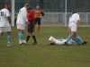 IMG_7339.jpg