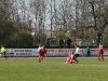 IMG_7799.jpg