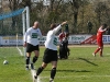 IMG_7828.jpg