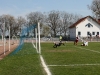 IMG_7930.jpg