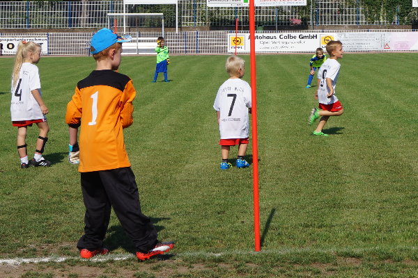 Spaß und Engagement war allen G-Jugendkickern anzusehen. | Foto: Verein