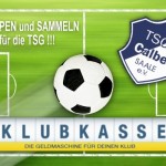 Verein_Klubkasse